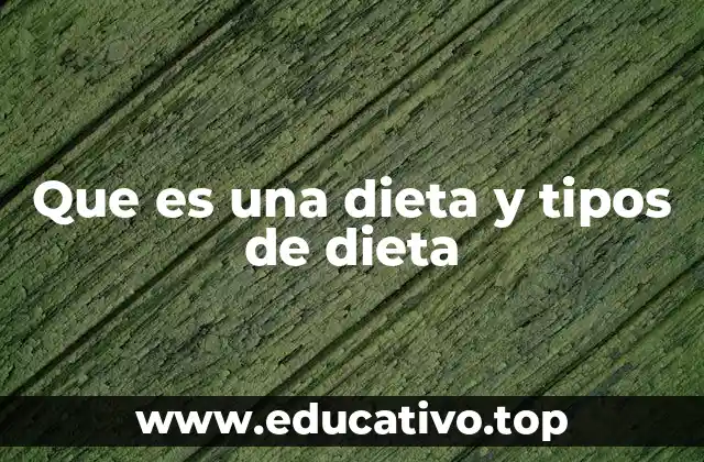 Que es una dieta y tipos de dieta