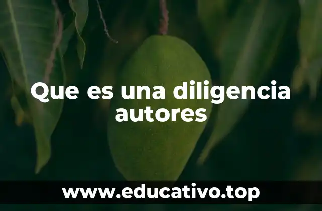 Que es una diligencia autores