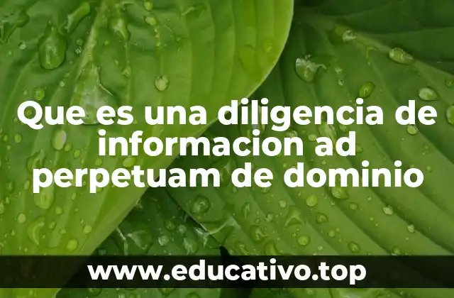 Que es una diligencia de informacion ad perpetuam de dominio