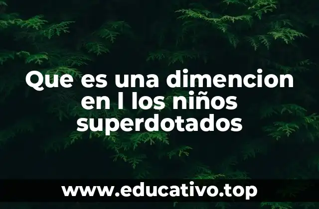 Que es una dimencion en l los niños superdotados
