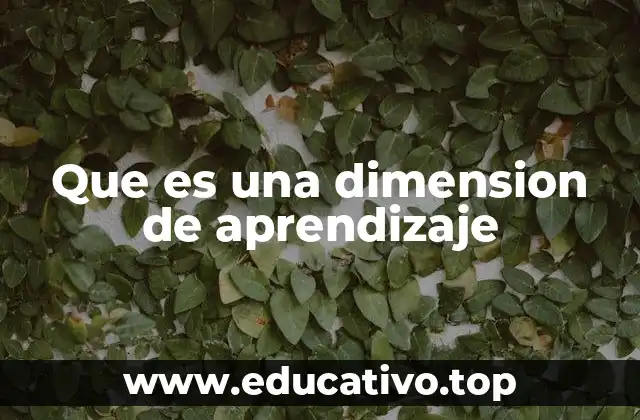 Que es una dimension de aprendizaje