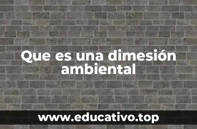 Que es una dimesión ambiental