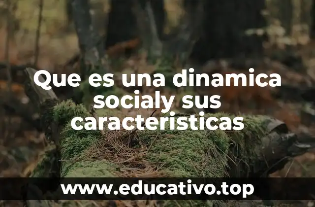 Que es una dinamica socialy sus caracteristicas