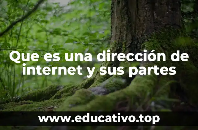 Que es una dirección de internet y sus partes