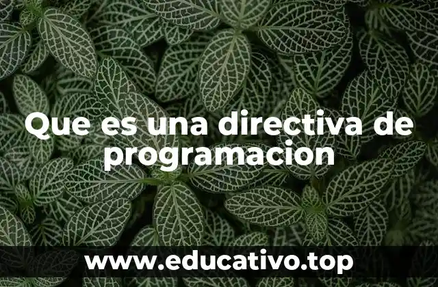 Que es una directiva de programacion