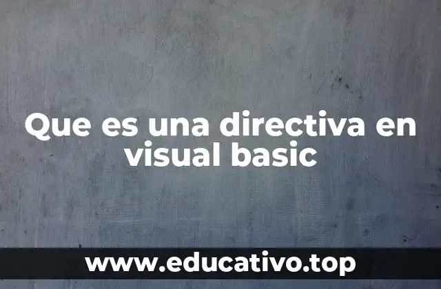 Que es una directiva en visual basic