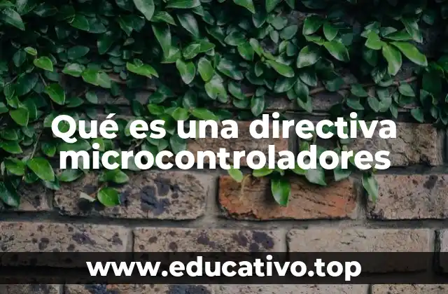 Qué es una directiva microcontroladores