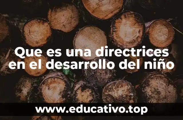 Que es una directrices en el desarrollo del niño