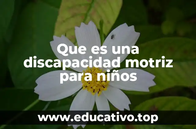 Que es una discapacidad motriz para niños