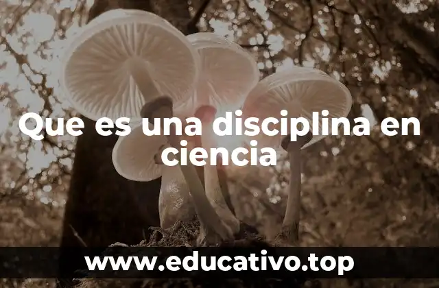 Que es una disciplina en ciencia
