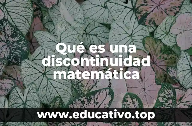 Qué es una discontinuidad matemática