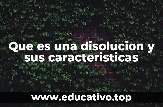 Que es una disolucion y sus caracteristicas