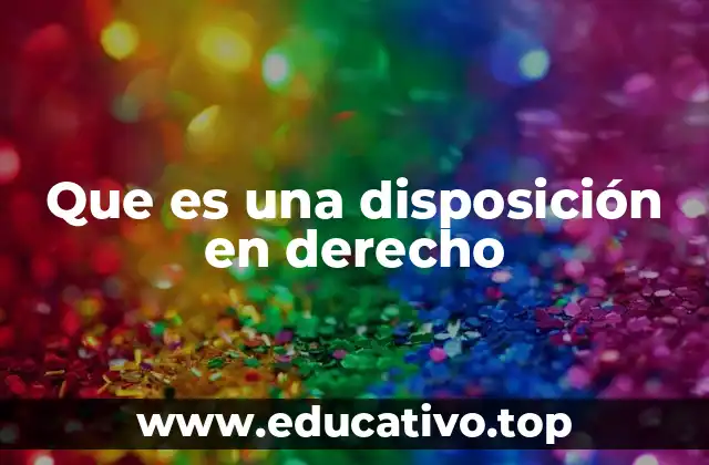 Que es una disposición en derecho