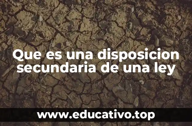 Que es una disposicion secundaria de una ley