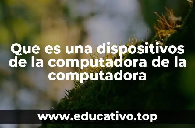 Que es una dispositivos de la computadora de la computadora