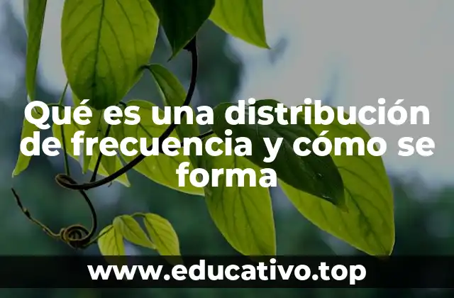 ¿Cómo se organiza un conjunto de datos para crear una distribución de frecuencia?