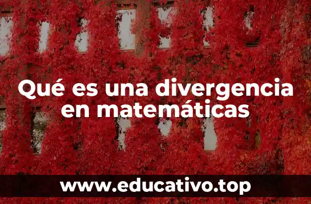 Qué es una divergencia en matemáticas