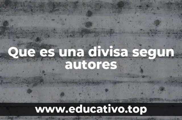 Que es una divisa segun autores