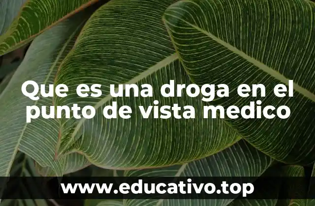 Que es una droga en el punto de vista medico