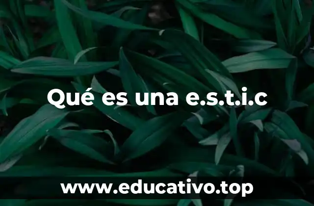 Qué es una e.s.t.i.c
