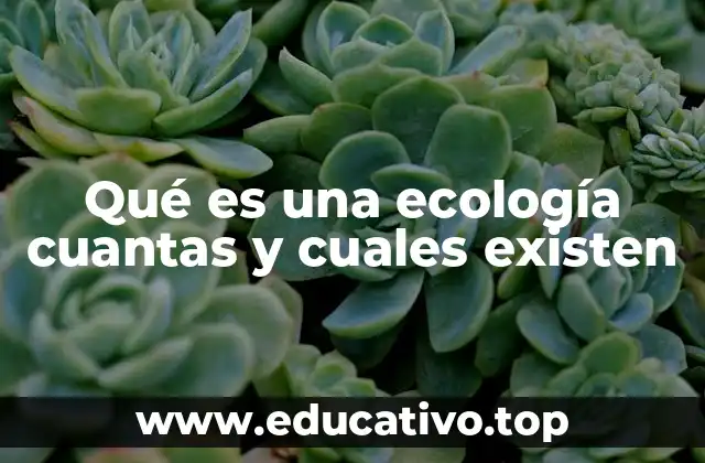 Qué es una ecología cuantas y cuales existen