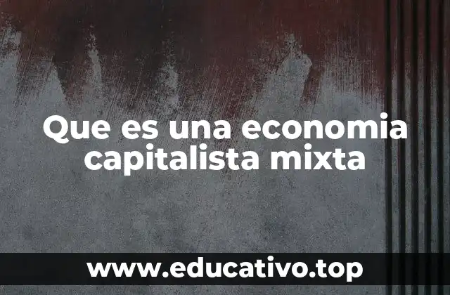 Características fundamentales de la economía capitalista mixta