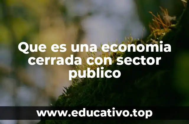 Que es una economia cerrada con sector publico