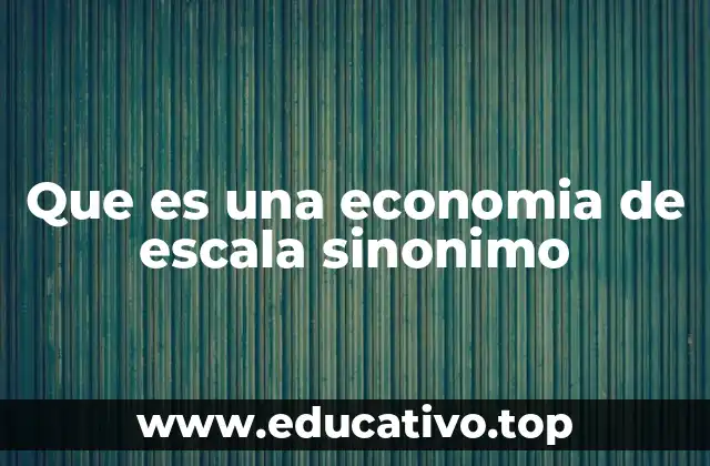 Que es una economia de escala sinonimo