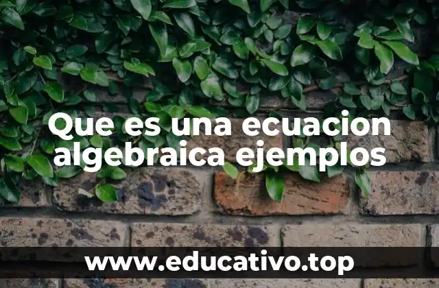 Que es una ecuacion algebraica ejemplos