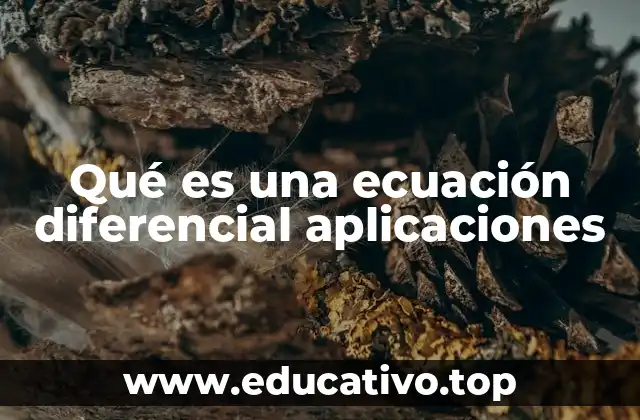 Qué es una ecuación diferencial aplicaciones