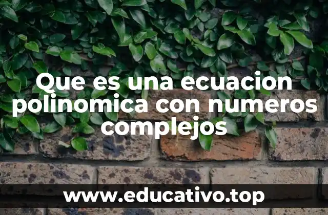 Cómo se relacionan las ecuaciones polinómicas con los números complejos