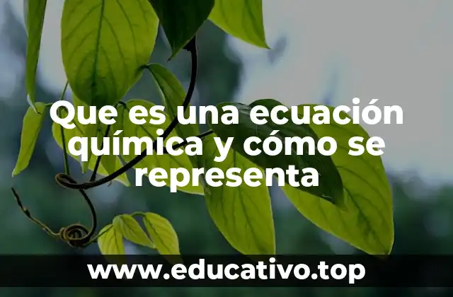 Que es una ecuación química y cómo se representa