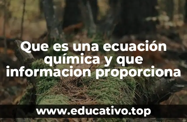 Que es una ecuación química y que informacion proporciona