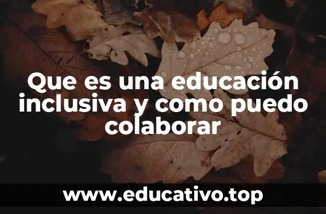 Que es una educación inclusiva y como puedo colaborar