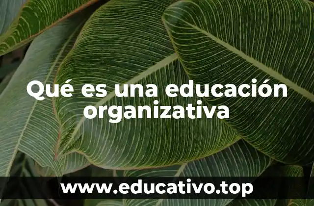 Qué es una educación organizativa