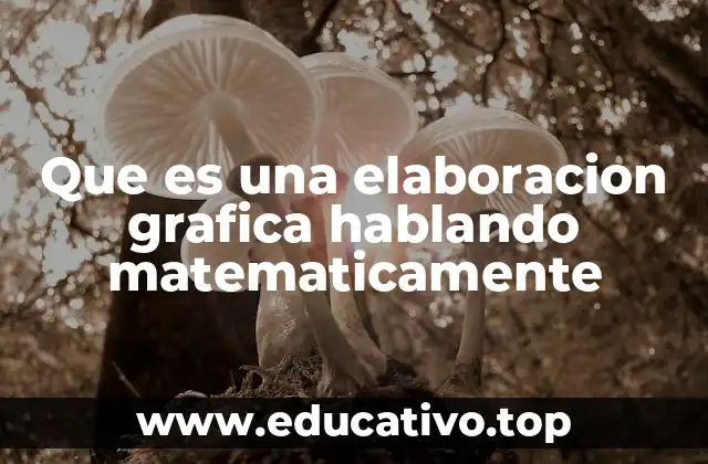 Que es una elaboracion grafica hablando matematicamente