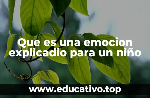 Que es una emocion explicadio para un niño