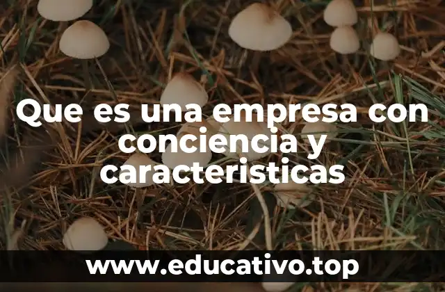 Que es una empresa con conciencia y caracteristicas
