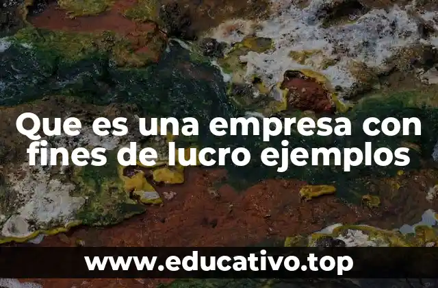 Que es una empresa con fines de lucro ejemplos