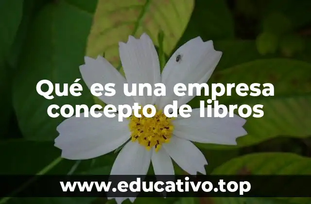 Qué es una empresa concepto de libros