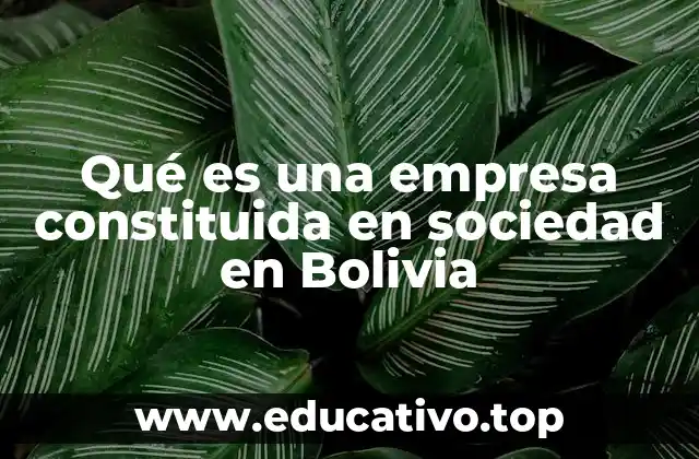 Qué es una empresa constituida en sociedad en Bolivia