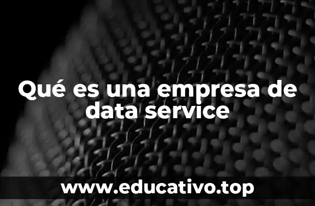 Qué es una empresa de data service
