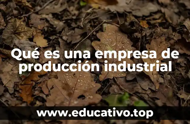Qué es una empresa de producción industrial