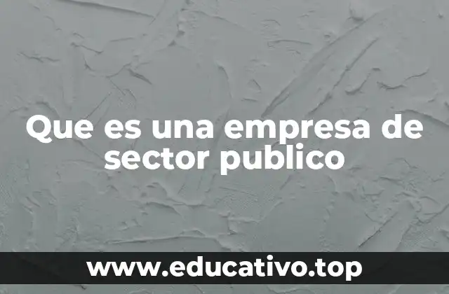 Que es una empresa de sector publico