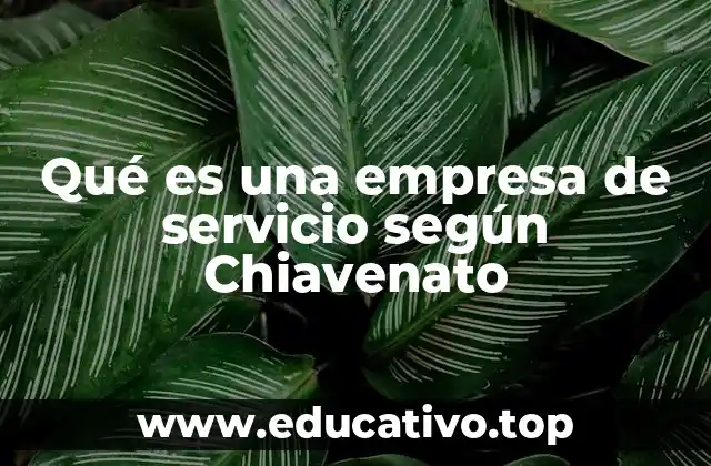 Qué es una empresa de servicio según Chiavenato