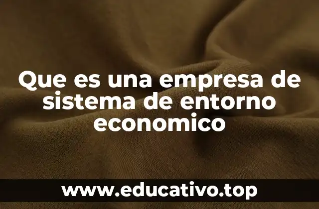 Que es una empresa de sistema de entorno economico