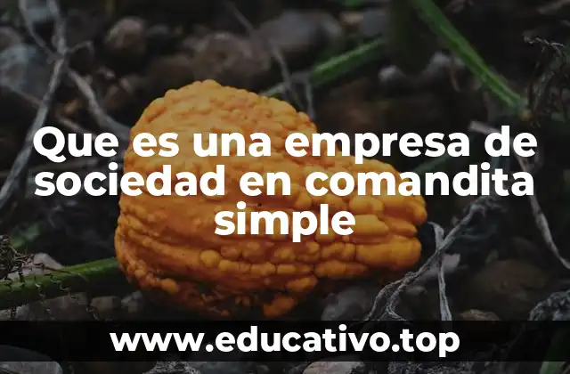 Que es una empresa de sociedad en comandita simple