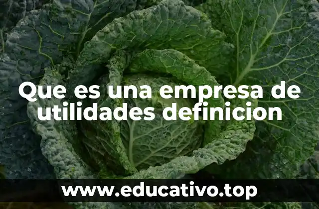 Que es una empresa de utilidades definicion
