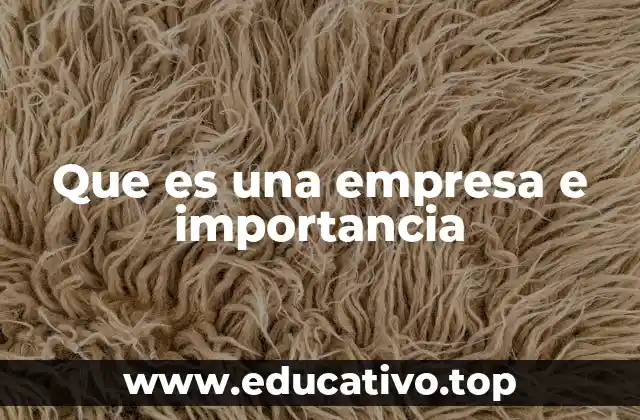 Que es una empresa e importancia