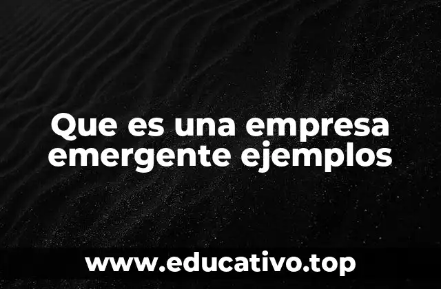 Características de una empresa emergente
